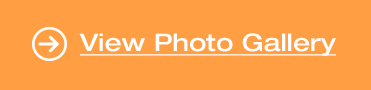 Photo Gallery - Orange