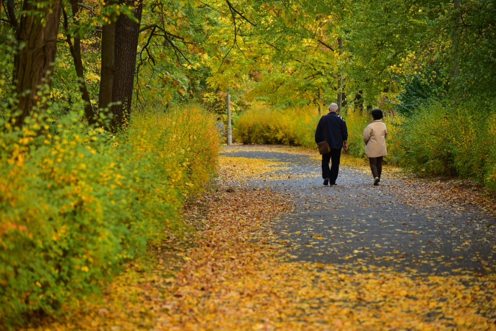 5 Fun and Accessible Activities for Visually Impaired Residents