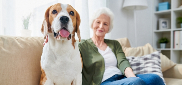 What to Expect When Your Move to Assisted Living Includes a Furry Friend
